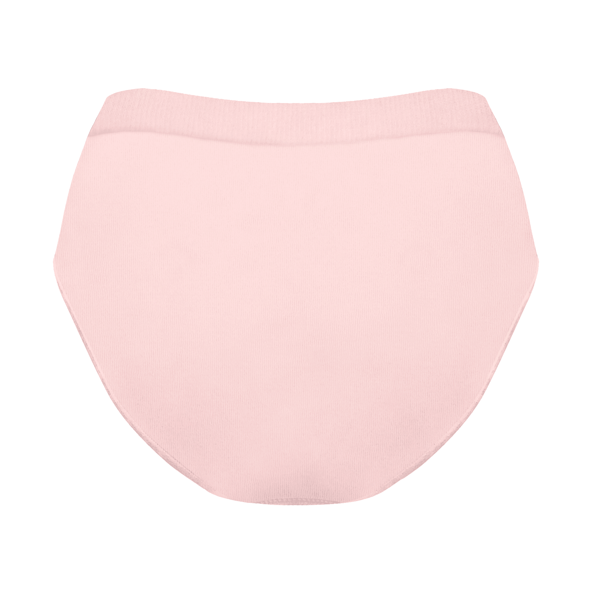 Women's Seamfree Full Brief - Rose All Day