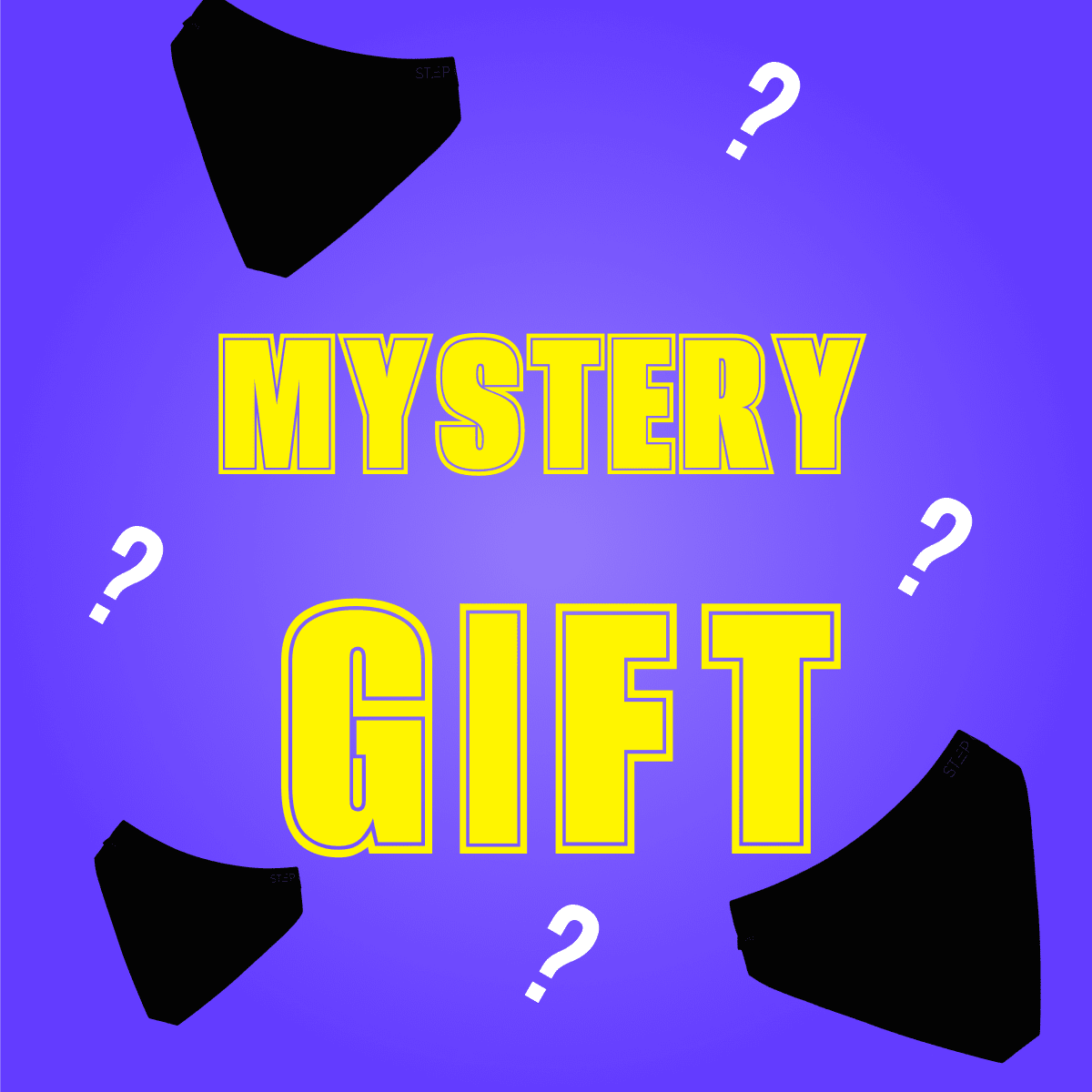 Women's Bikini Brief - Mystery 4 Pack - Bamboo Underwear