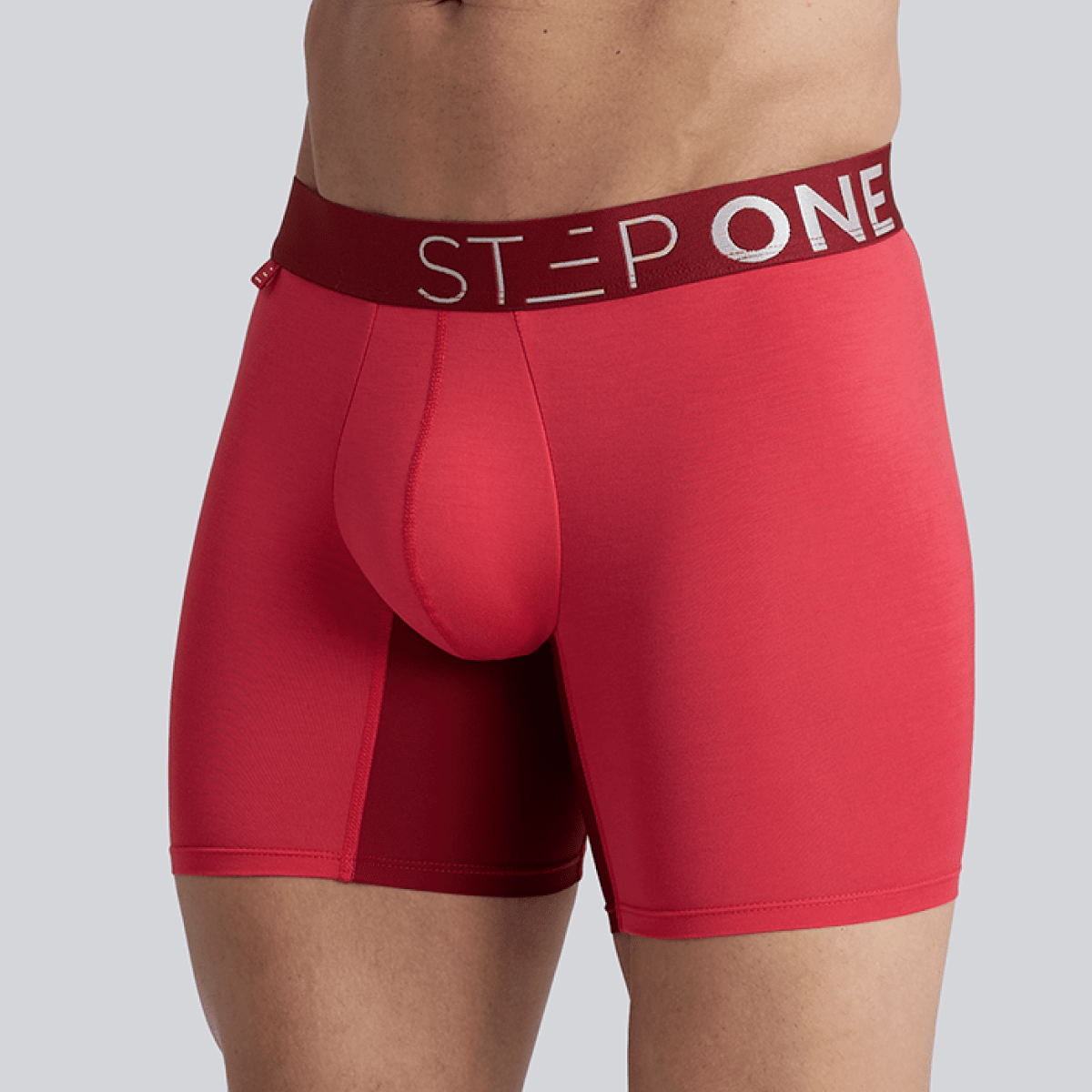 Boxer Brief - Winter Berry - Bamboo Underwear