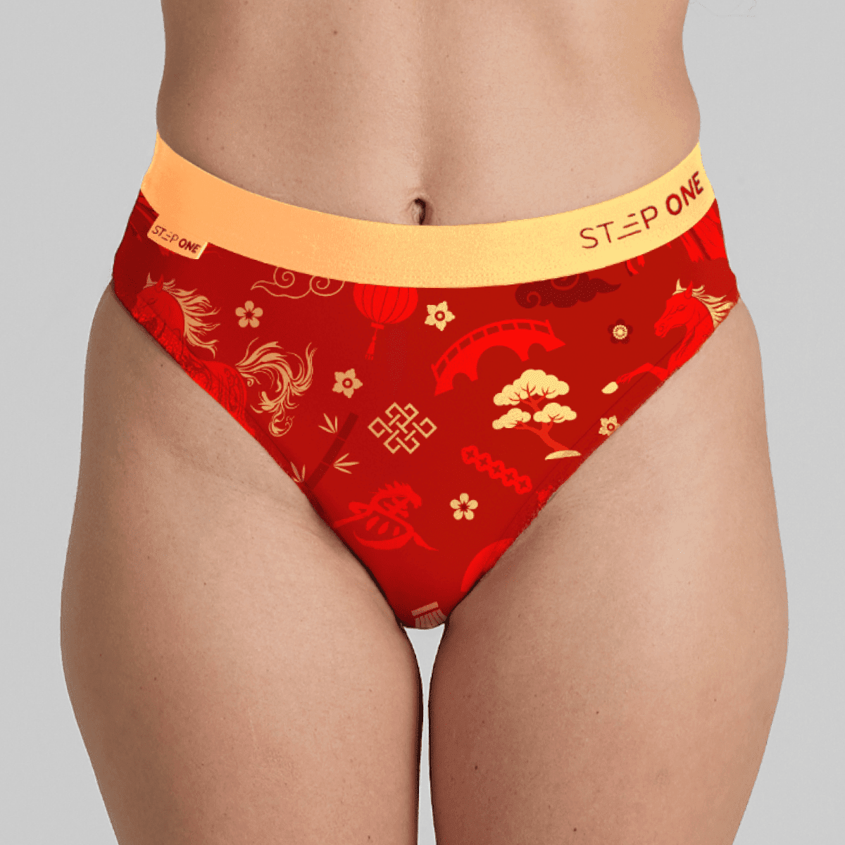 Women's Bikini Brief - CNY26 - Bamboo Underwear