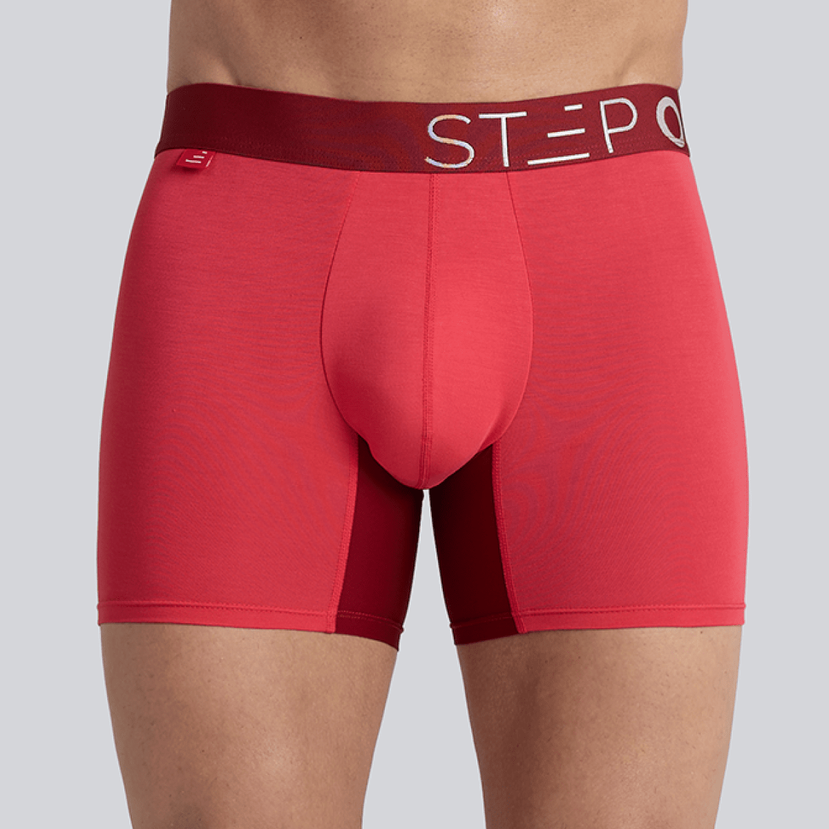 Trunk - Winter Berry - Bamboo Underwear